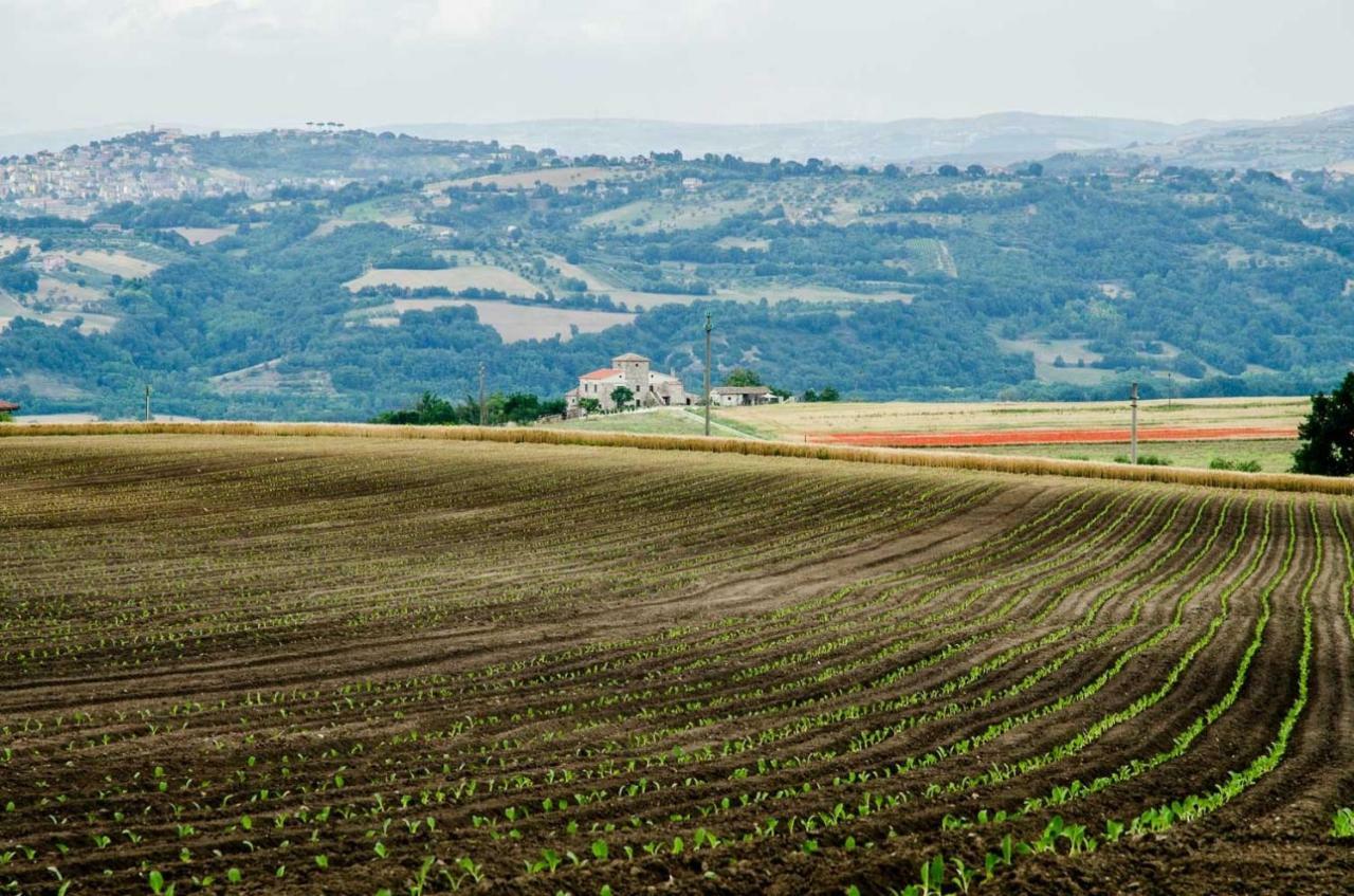 Country Relais La Torretta Baronale Guest House San Giorgio del Sannio Exterior foto